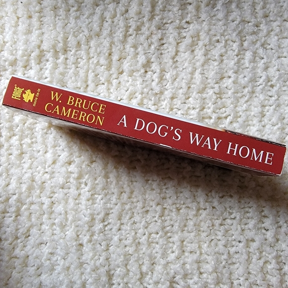 A Boy's Way Home by W. Bruce Cameron - Picture 2 of 6